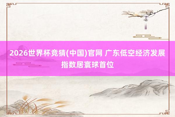 2026世界杯竞猜(中国)官网 广东低空经济发展指数居寰球首位