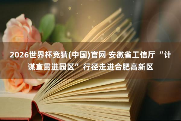 2026世界杯竞猜(中国)官网 安徽省工信厅 “计谋宣贯进园区” 行径走进合肥高新区