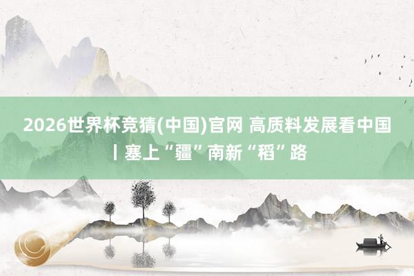 2026世界杯竞猜(中国)官网 高质料发展看中国丨塞上“疆”南新“稻”路