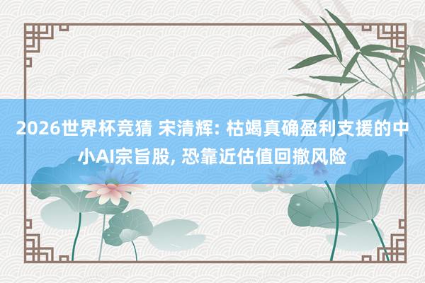 2026世界杯竞猜 宋清辉: 枯竭真确盈利支援的中小AI宗旨股， 恐靠近估值回撤风险