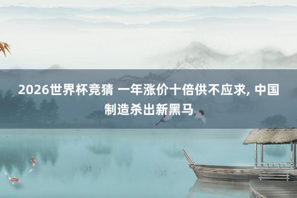 2026世界杯竞猜 一年涨价十倍供不应求， 中国制造杀出新黑马