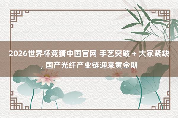 2026世界杯竞猜中国官网 手艺突破 + 大家紧缺， 国产光纤产业链迎来黄金期