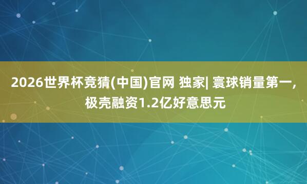 2026世界杯竞猜(中国)官网 独家| 寰球销量第一， 极壳融资1.2亿好意思元