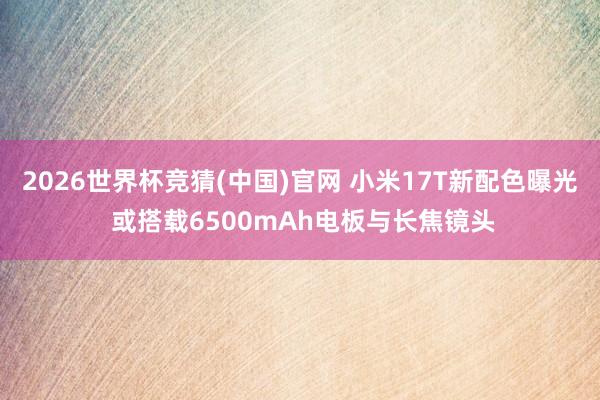 2026世界杯竞猜(中国)官网 小米17T新配色曝光 或搭载6500mAh电板与长焦镜头