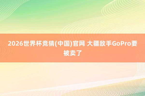 2026世界杯竞猜(中国)官网 大疆敌手GoPro要被卖了