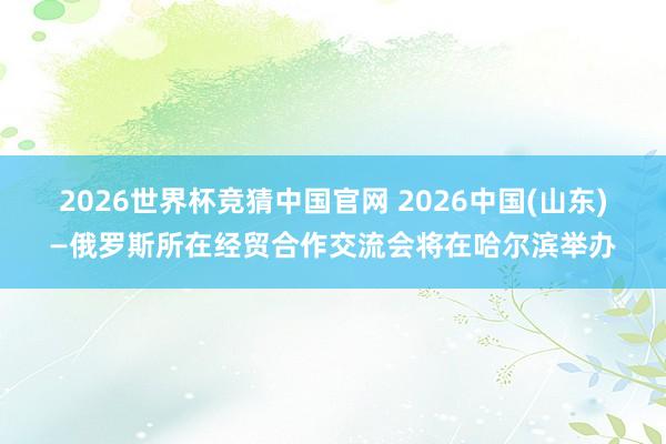 2026世界杯竞猜中国官网 2026中国(山东)—俄罗斯所在经贸合作交流会将在哈尔滨举办