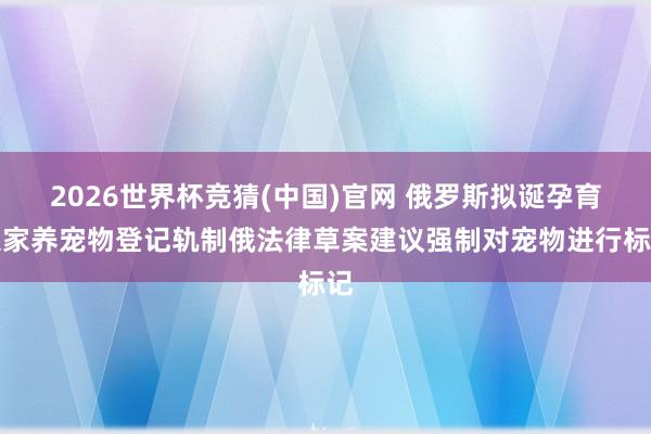 2026世界杯竞猜(中国)官网 俄罗斯拟诞孕育入家养宠物登记轨制俄法律草案建议强制对宠物进行标记