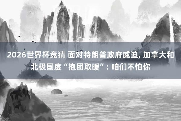 2026世界杯竞猜 面对特朗普政府威迫， 加拿大和北极国度“抱团取暖”: 咱们不怕你