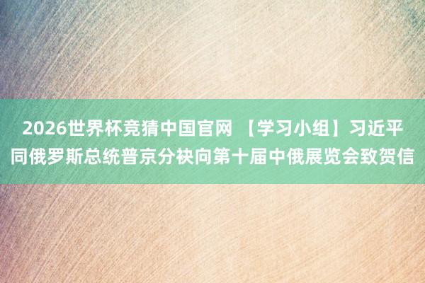 2026世界杯竞猜中国官网 【学习小组】习近平同俄罗斯总统普京分袂向第十届中俄展览会致贺信