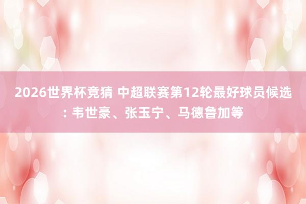 2026世界杯竞猜 中超联赛第12轮最好球员候选: 韦世豪、张玉宁、马德鲁加等