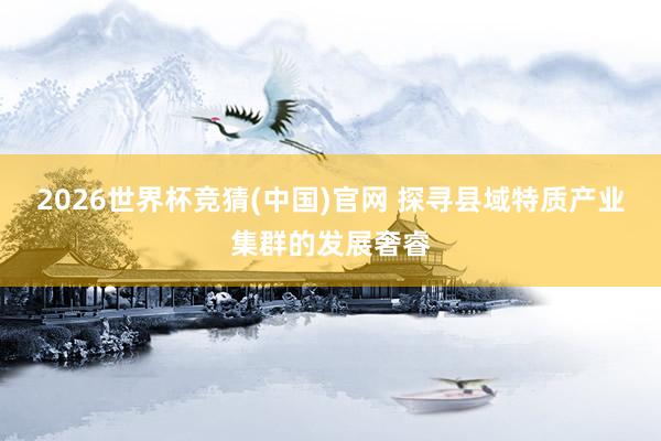 2026世界杯竞猜(中国)官网 探寻县域特质产业集群的发展奢睿
