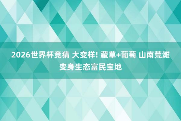 2026世界杯竞猜 大变样! 藏草+葡萄 山南荒滩变身生态富民宝地
