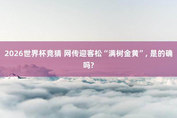 2026世界杯竞猜 网传迎客松“满树金黄”， 是的确吗?