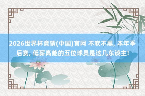 2026世界杯竞猜(中国)官网 不吹不黑， 本年季后赛， 低薪高能的五位球员是这几东谈主!