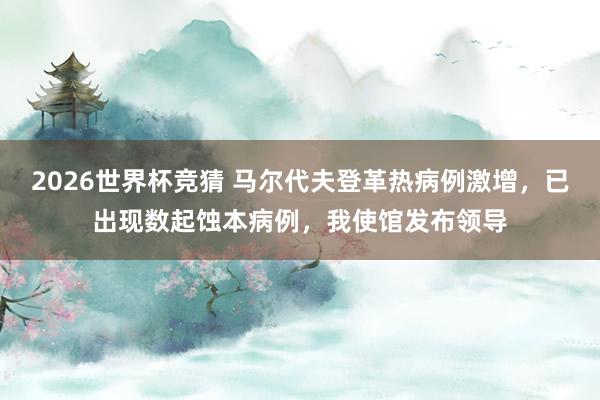 2026世界杯竞猜 马尔代夫登革热病例激增，已出现数起蚀本病例，我使馆发布领导