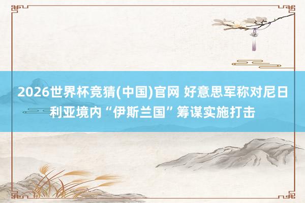 2026世界杯竞猜(中国)官网 好意思军称对尼日利亚境内“伊斯兰国”筹谋实施打击