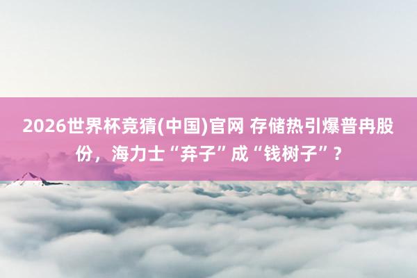 2026世界杯竞猜(中国)官网 存储热引爆普冉股份，海力士“弃子”成“钱树子”？