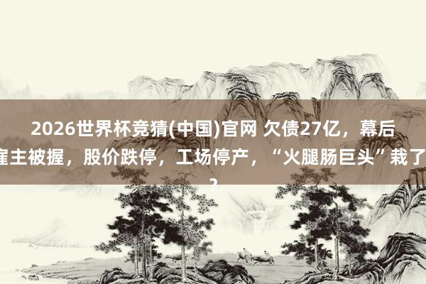 2026世界杯竞猜(中国)官网 欠债27亿，幕后雇主被握，股价跌停，工场停产，“火腿肠巨头”栽了？