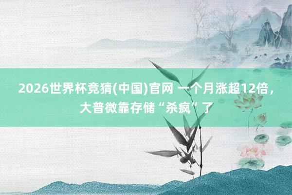 2026世界杯竞猜(中国)官网 一个月涨超12倍，大普微靠存储“杀疯”了