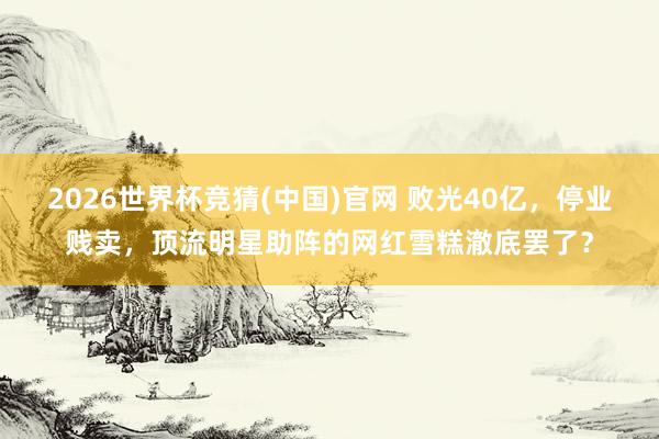 2026世界杯竞猜(中国)官网 败光40亿，停业贱卖，顶流明星助阵的网红雪糕澈底罢了？