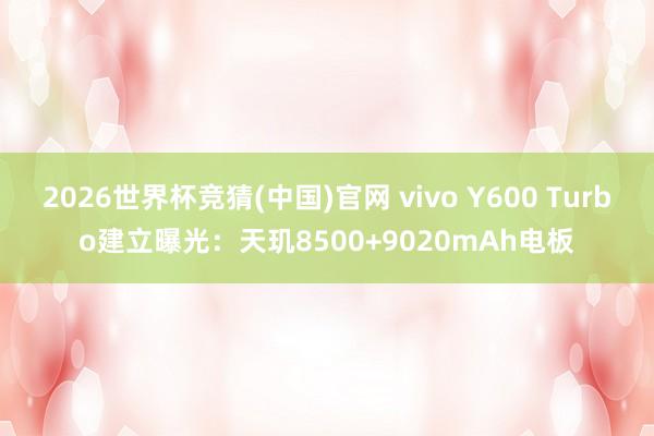 2026世界杯竞猜(中国)官网 vivo Y600 Turbo建立曝光：天玑8500+9020mAh电板