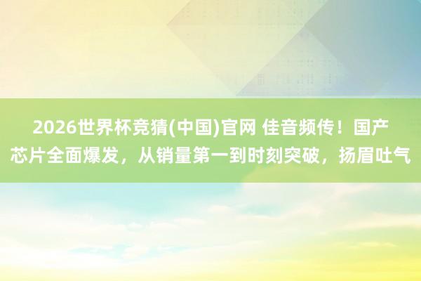 2026世界杯竞猜(中国)官网 佳音频传！国产芯片全面爆发，从销量第一到时刻突破，扬眉吐气