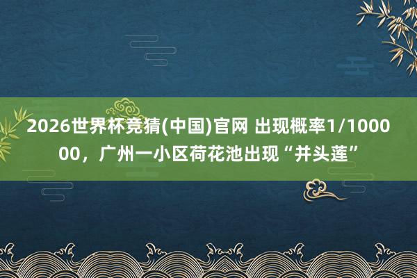 2026世界杯竞猜(中国)官网 出现概率1/100000，广州一小区荷花池出现“并头莲”