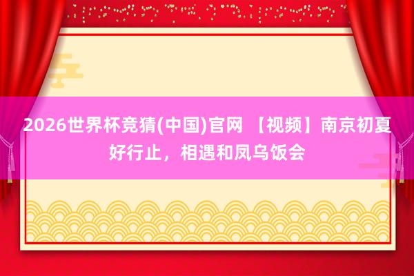 2026世界杯竞猜(中国)官网 【视频】南京初夏好行止，相遇和凤乌饭会