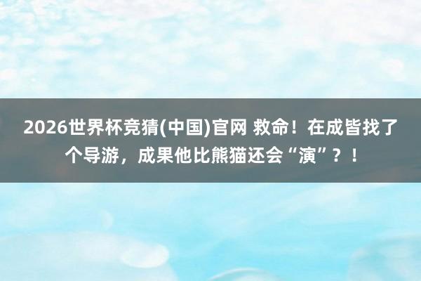 2026世界杯竞猜(中国)官网 救命！在成皆找了个导游，成果他比熊猫还会“演”？！