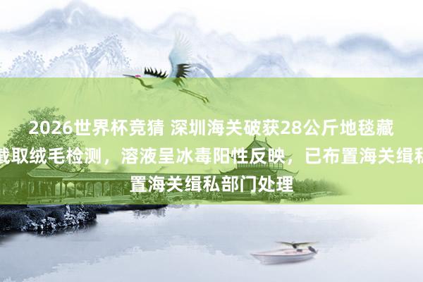 2026世界杯竞猜 深圳海关破获28公斤地毯藏冰毒案！截取绒毛检测，溶液呈冰毒阳性反映，已布置海关缉私部门处理