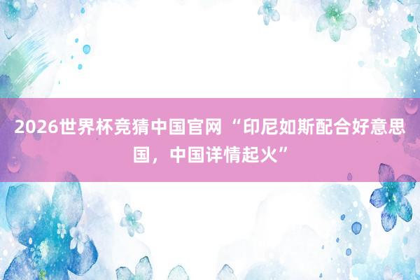 2026世界杯竞猜中国官网 “印尼如斯配合好意思国，中国详情起火”