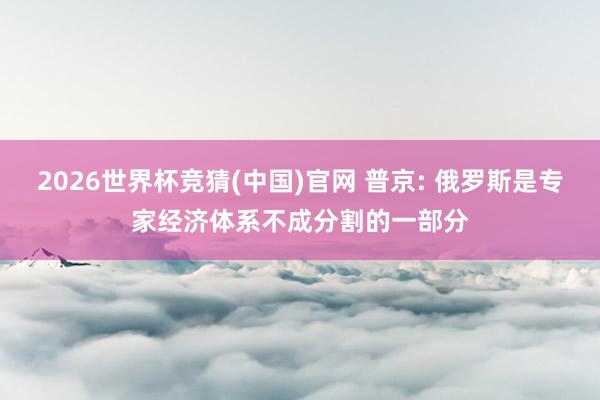2026世界杯竞猜(中国)官网 普京: 俄罗斯是专家经济体系不成分割的一部分