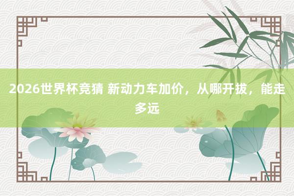 2026世界杯竞猜 新动力车加价，从哪开拔，能走多远