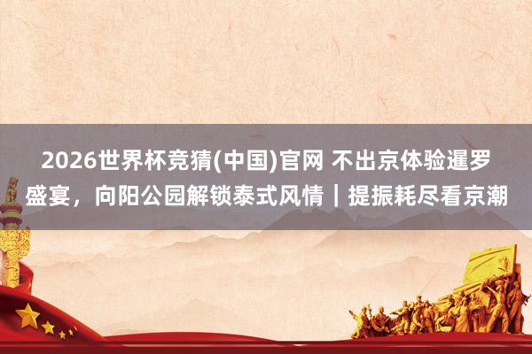 2026世界杯竞猜(中国)官网 不出京体验暹罗盛宴，向阳公园解锁泰式风情｜提振耗尽看京潮