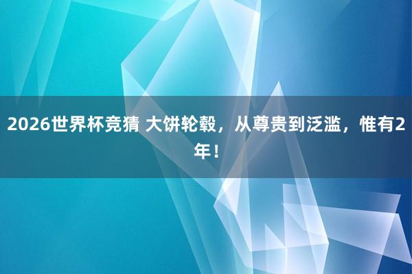 2026世界杯竞猜 大饼轮毂，从尊贵到泛滥，惟有2年！