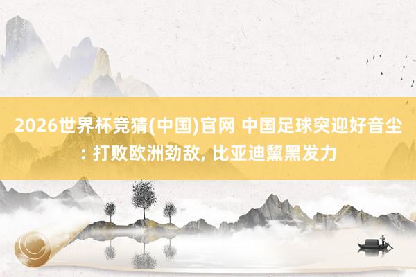 2026世界杯竞猜(中国)官网 中国足球突迎好音尘: 打败欧洲劲敌， 比亚迪黧黑发力