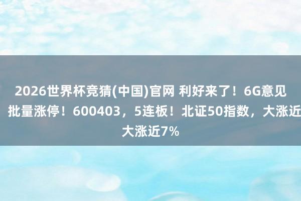 2026世界杯竞猜(中国)官网 利好来了！6G意见股，批量涨停！600403，5连板！北证50指数，大涨近7%