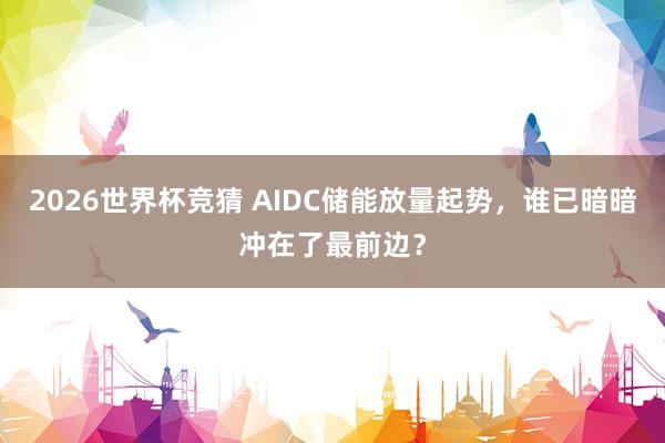 2026世界杯竞猜 AIDC储能放量起势，谁已暗暗冲在了最前边？