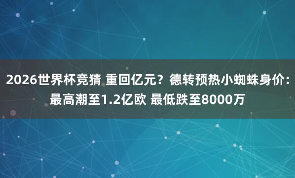 2026世界杯竞猜 重回亿元？德转预热小蜘蛛身价：最高潮至1.2亿欧 最低跌至8000万