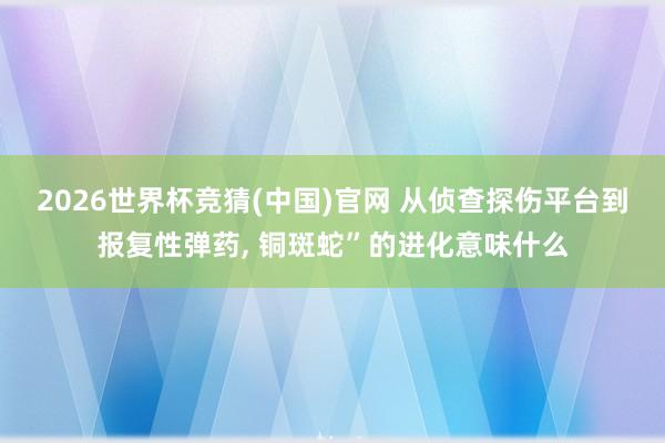 2026世界杯竞猜(中国)官网 从侦查探伤平台到报复性弹药， 铜斑蛇”的进化意味什么