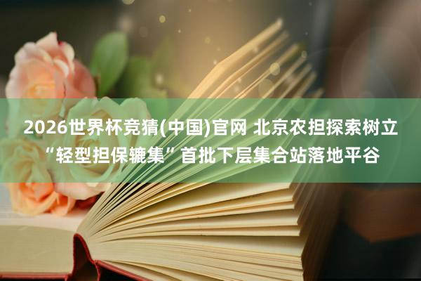 2026世界杯竞猜(中国)官网 北京农担探索树立“轻型担保辘集”首批下层集合站落地平谷