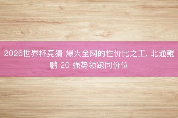 2026世界杯竞猜 爆火全网的性价比之王， 北通鲲鹏 20 强势领跑同价位