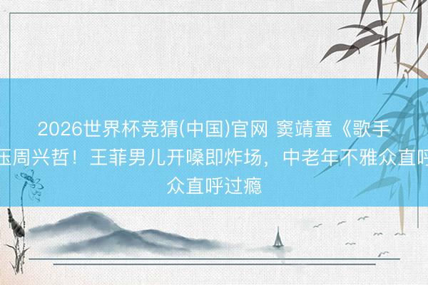 2026世界杯竞猜(中国)官网 窦靖童《歌手》碾压周兴哲！王菲男儿开嗓即炸场，中老年不雅众直呼过瘾