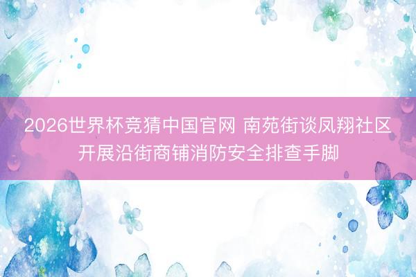 2026世界杯竞猜中国官网 南苑街谈凤翔社区开展沿街商铺消防安全排查手脚