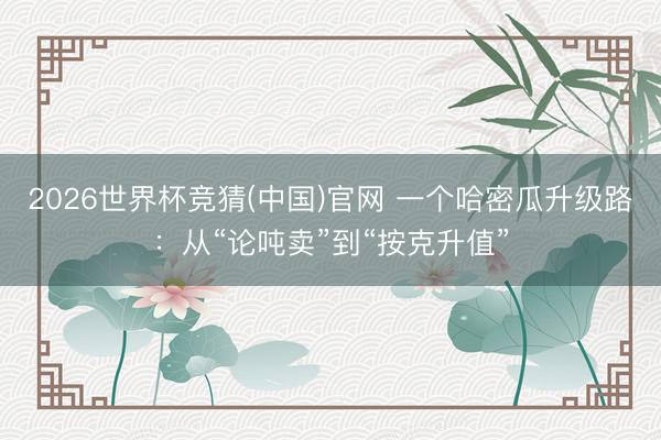 2026世界杯竞猜(中国)官网 一个哈密瓜升级路：从“论吨卖”到“按克升值”