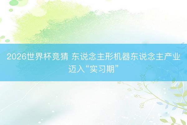 2026世界杯竞猜 东说念主形机器东说念主产业迈入“实习期”